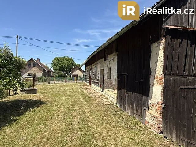 Fotka 5 z 13